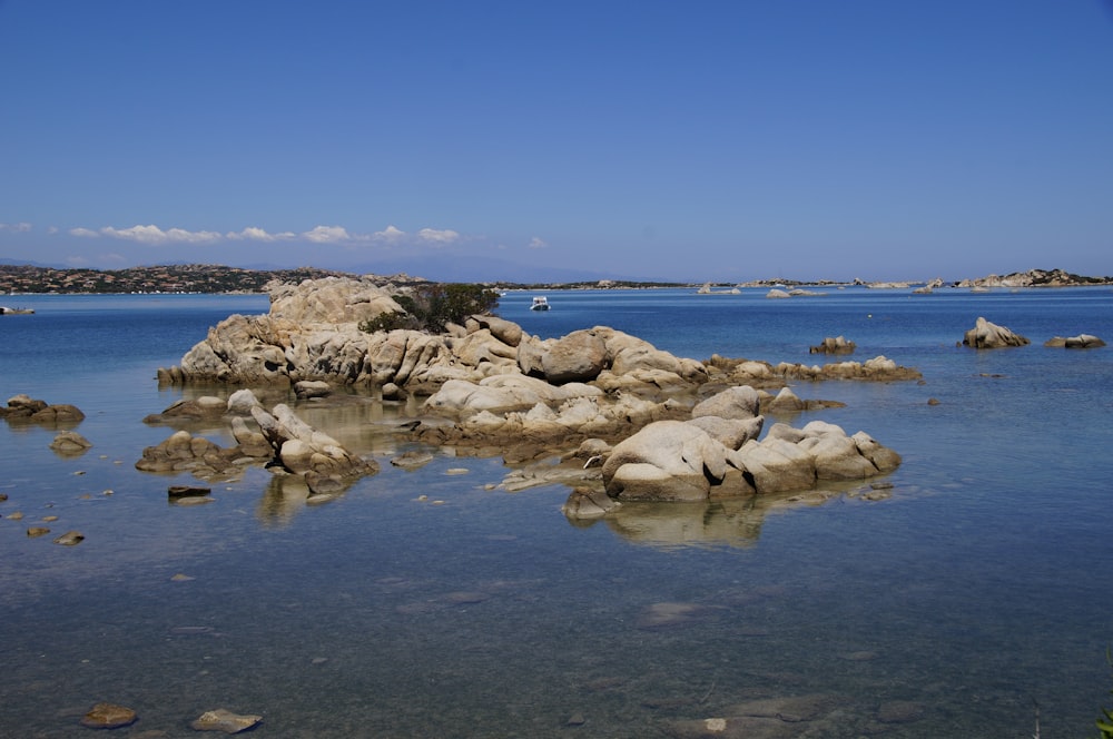 昼間の海岸の白と茶色の岩