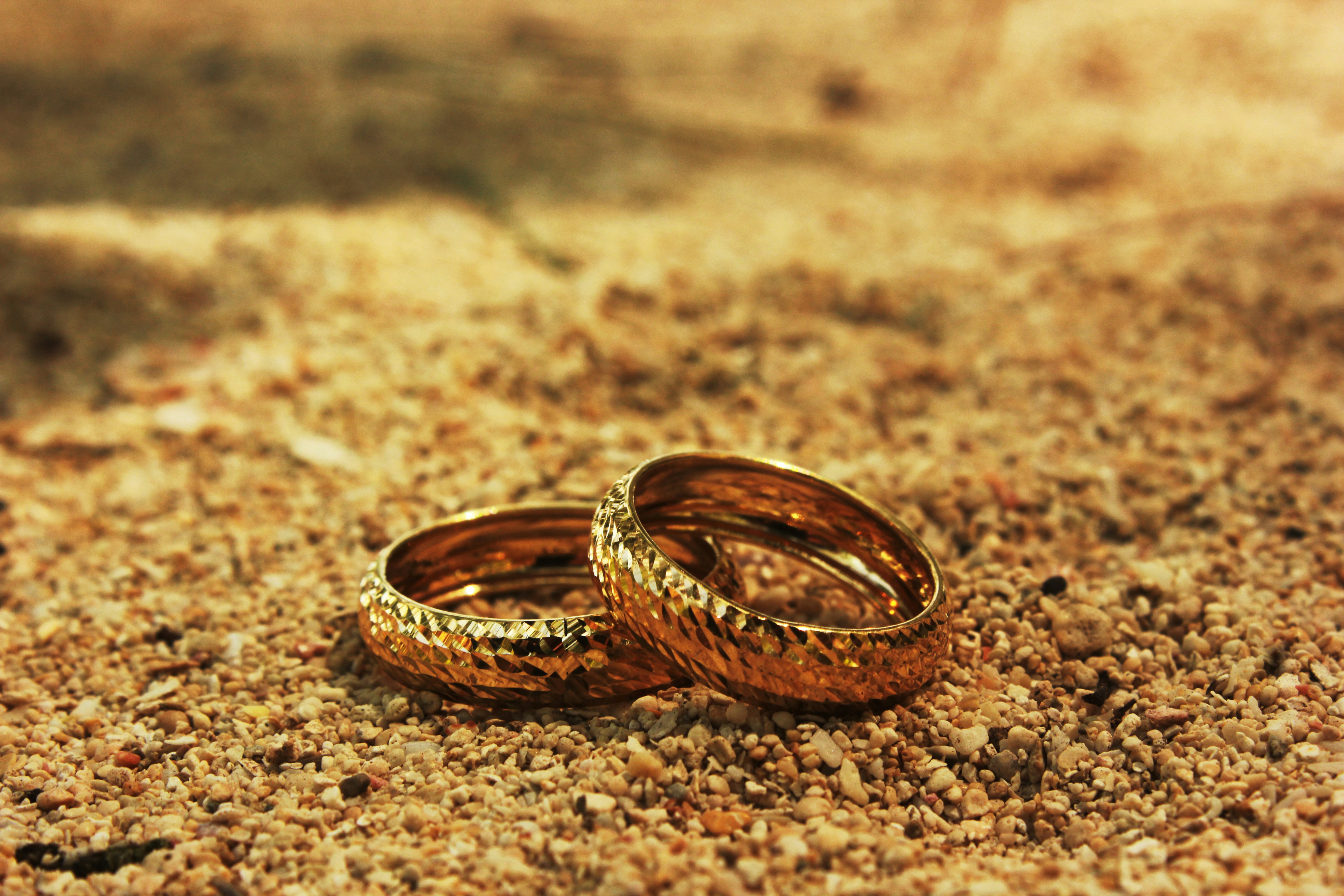 brown and black snake on brown sand