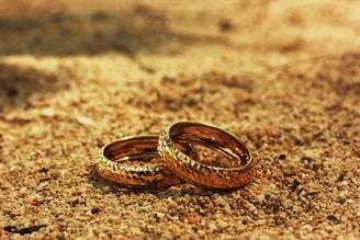 brown and black snake on brown sand