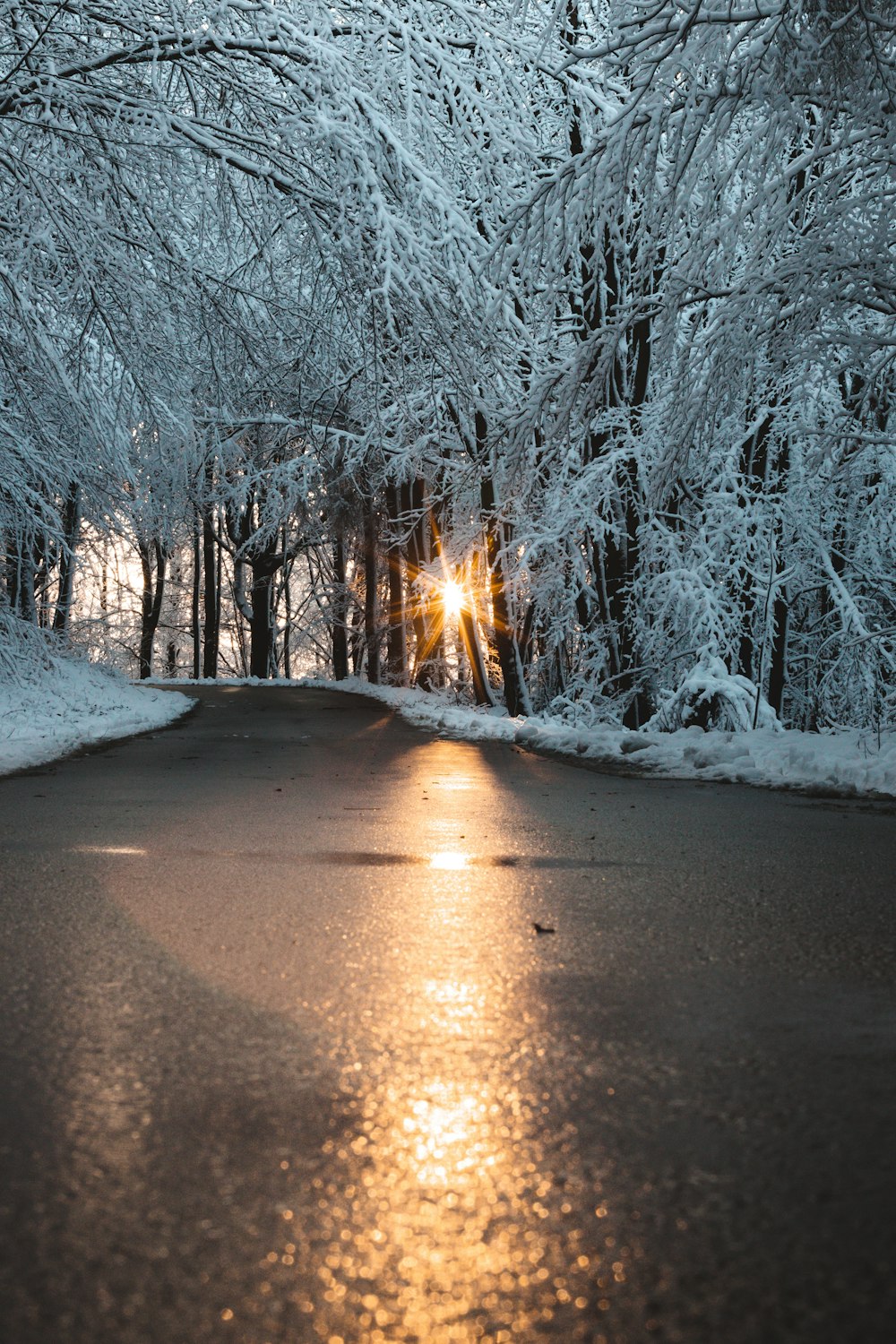 snow covered road during daytime