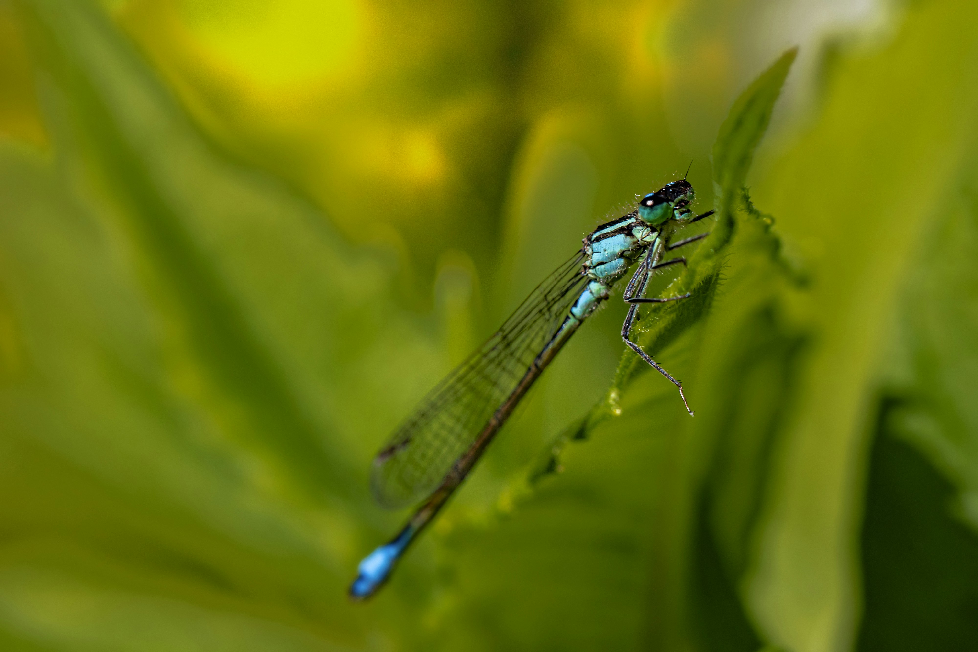 Photo by erik_karits