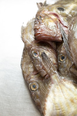 Several raw fish are laid on a flat surface, their scales glistening under the light. The fish have a wet, slimy texture and fresh appearance with prominent eyes and gills visible.