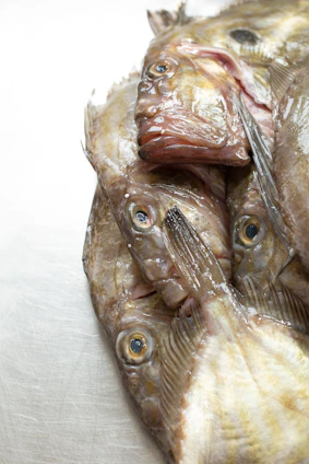 Close-up of fresh vanjaram (seer fish) with glistening scales on a rustic wooden board