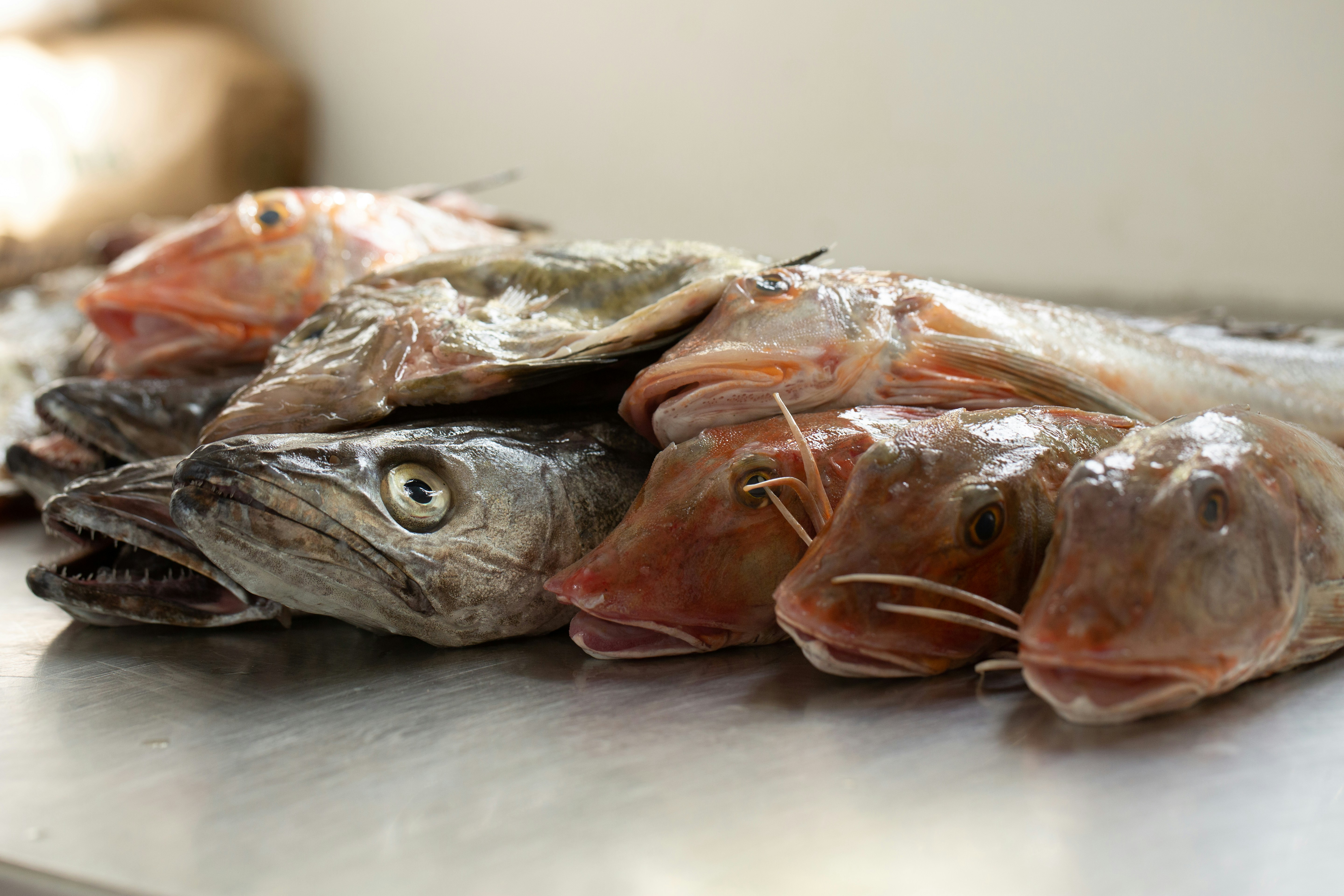 교차오염의 위험성 증가