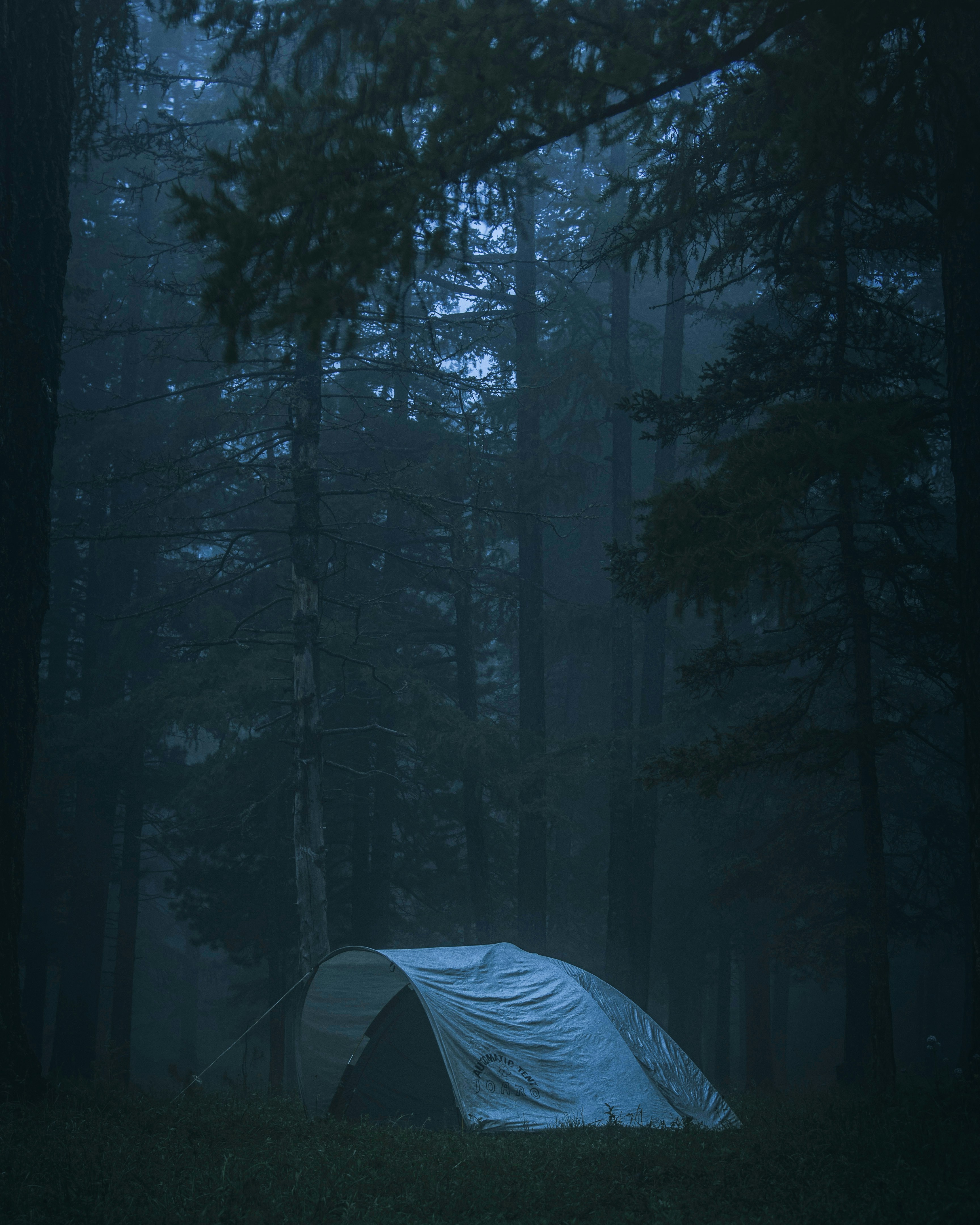 Rainy tent forest forest, ilustrasi artikel Mastering the Storm: How to Stay Dry While Camping in the Rain 7