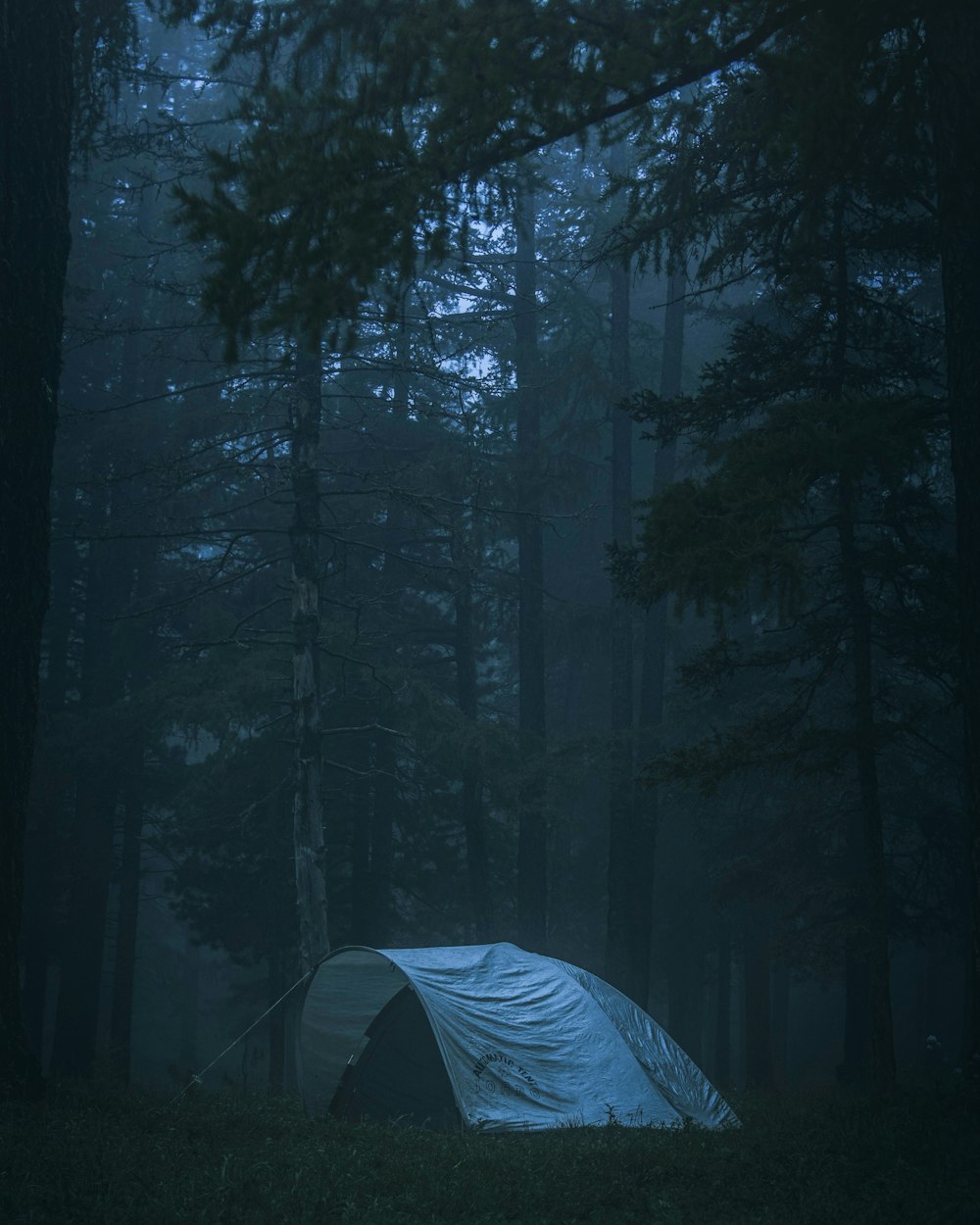 green tent in the middle of the forest