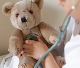 person holding brown bear plush toy