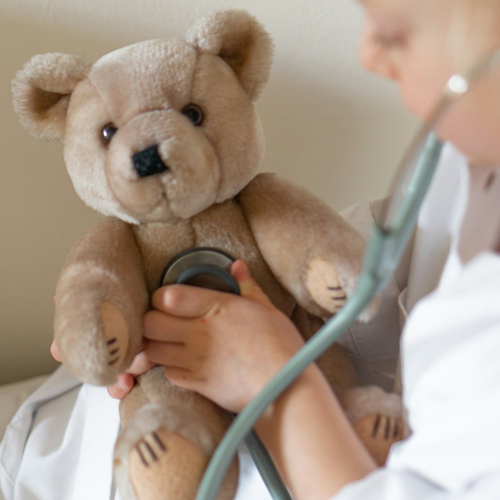 person holding brown bear plush toy