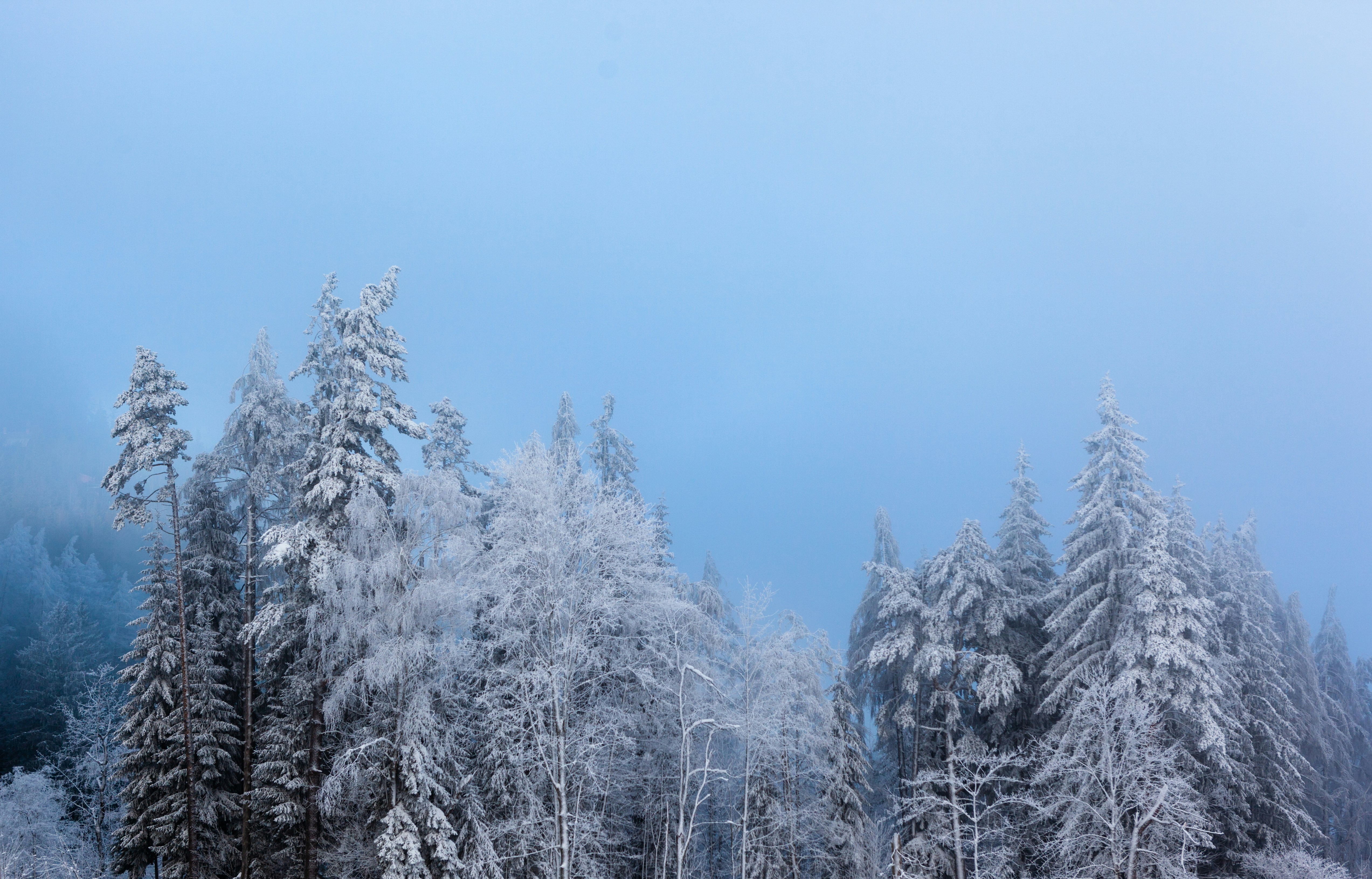 Photo by alex_gruber