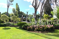green grass field with trees and flowers