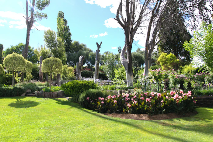 Lawn and garden landscaping design
