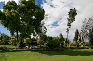 A lush garden with a variety of trees and well-maintained green lawn. There are tall, dense trees along with trimmed shrubs and smaller ornamental plants. In the foreground, a seating area with a table and chairs is visible, surrounded by vibrant greenery. The sky overhead is partly cloudy with patches of blue visible.