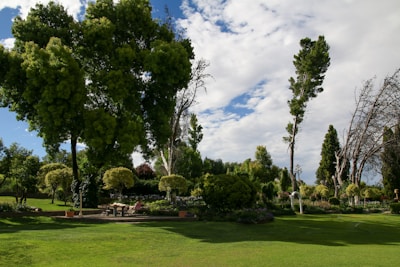 Well-maintained garden with seating area and mature trees.