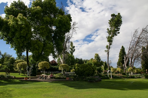 A lush garden with a variety of trees and well-maintained green lawn. There are tall, dense trees along with trimmed shrubs and smaller ornamental plants. In the foreground, a seating area with a table and chairs is visible, surrounded by vibrant greenery. The sky overhead is partly cloudy with patches of blue visible.