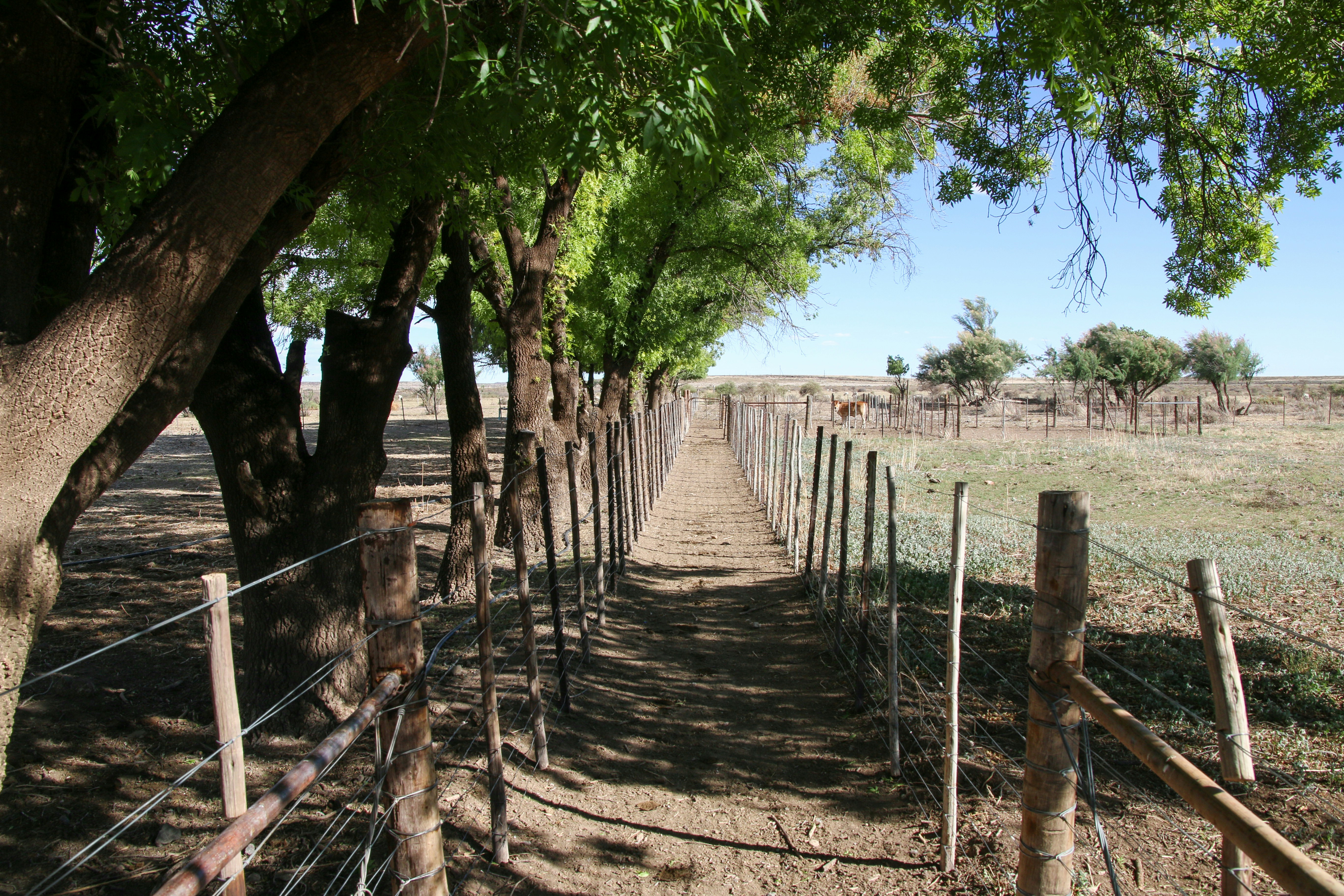 Escaliers en béton gris avec rampes en métal gris
