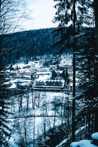 Vintage Christmas Poster