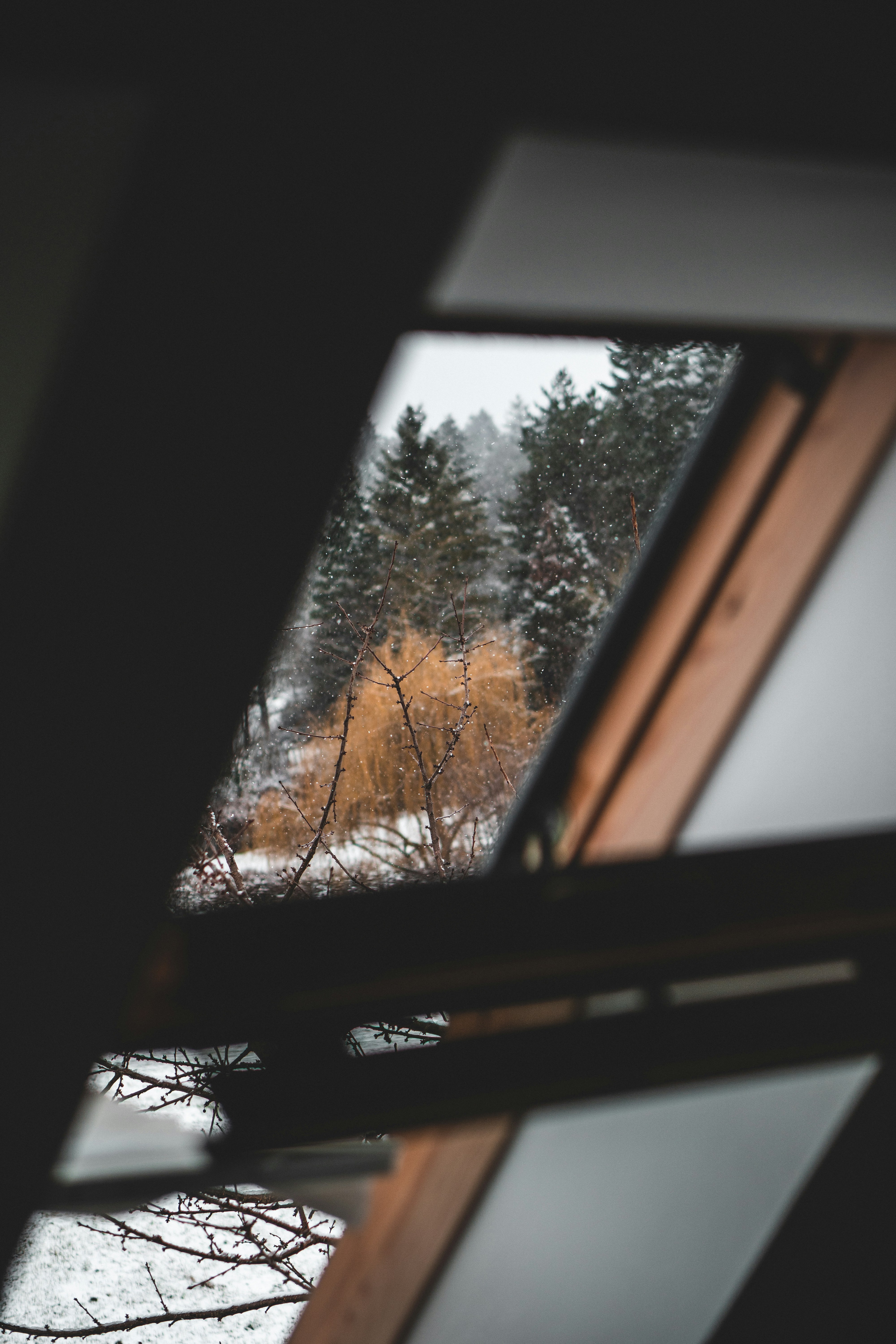 Photo by lopresti_enzo