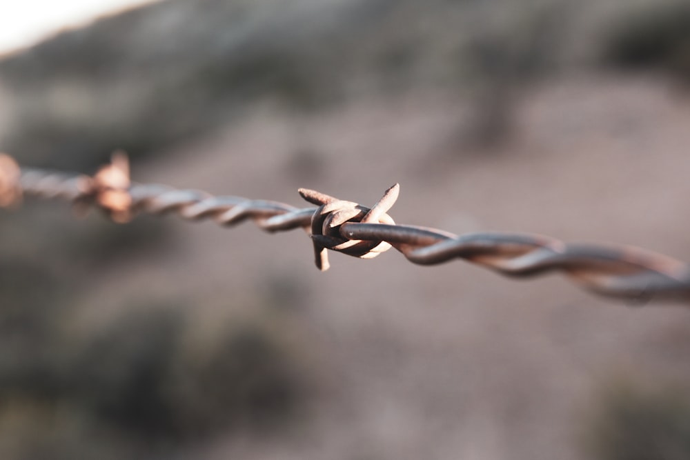 brown metal chain in close up photography