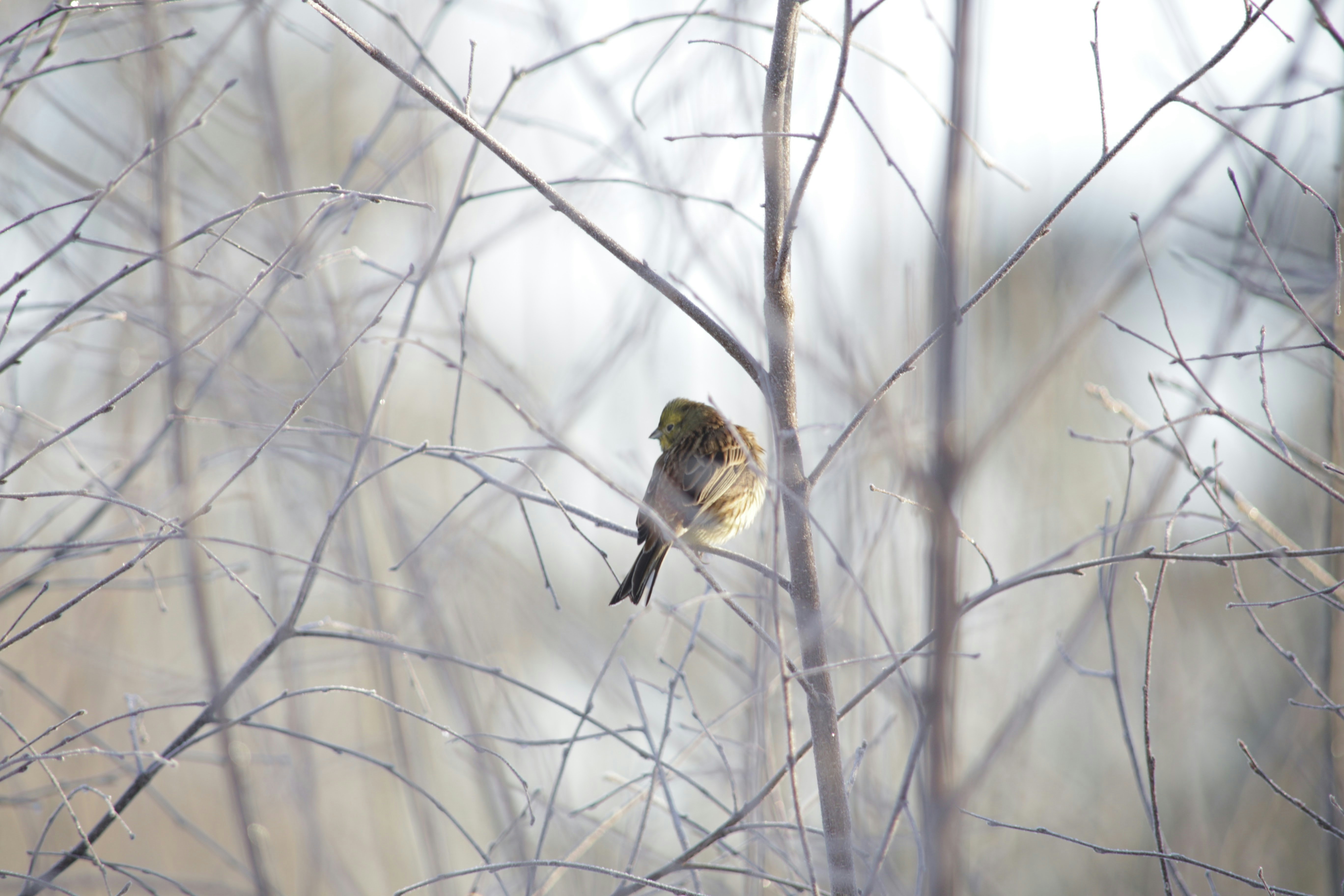 Photo by christinahr