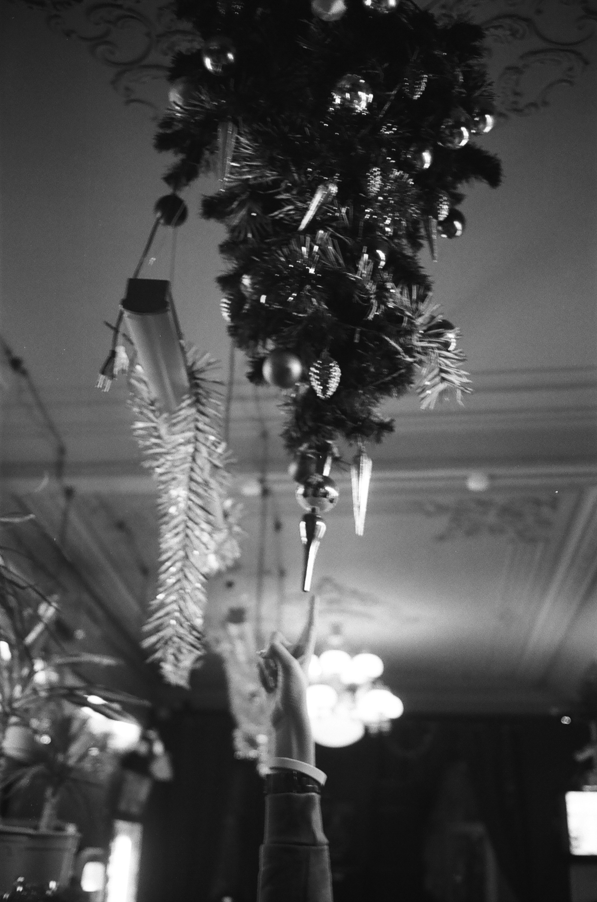 grayscale photo of christmas tree with string lights