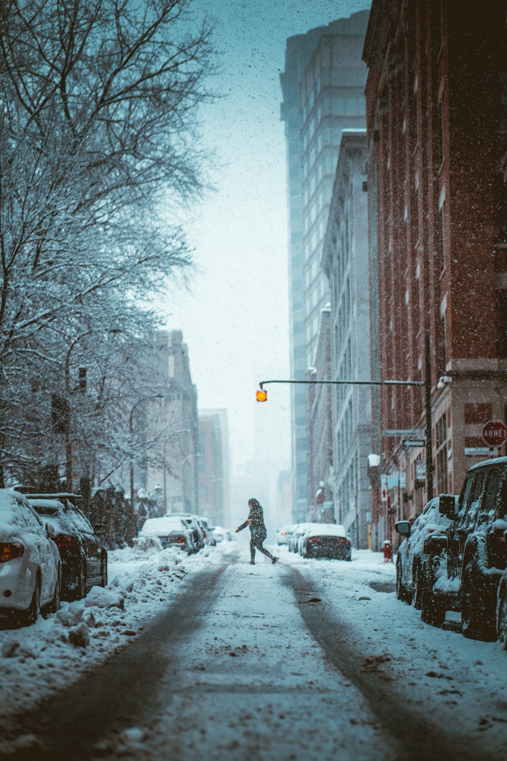 cars parked on road side during snow