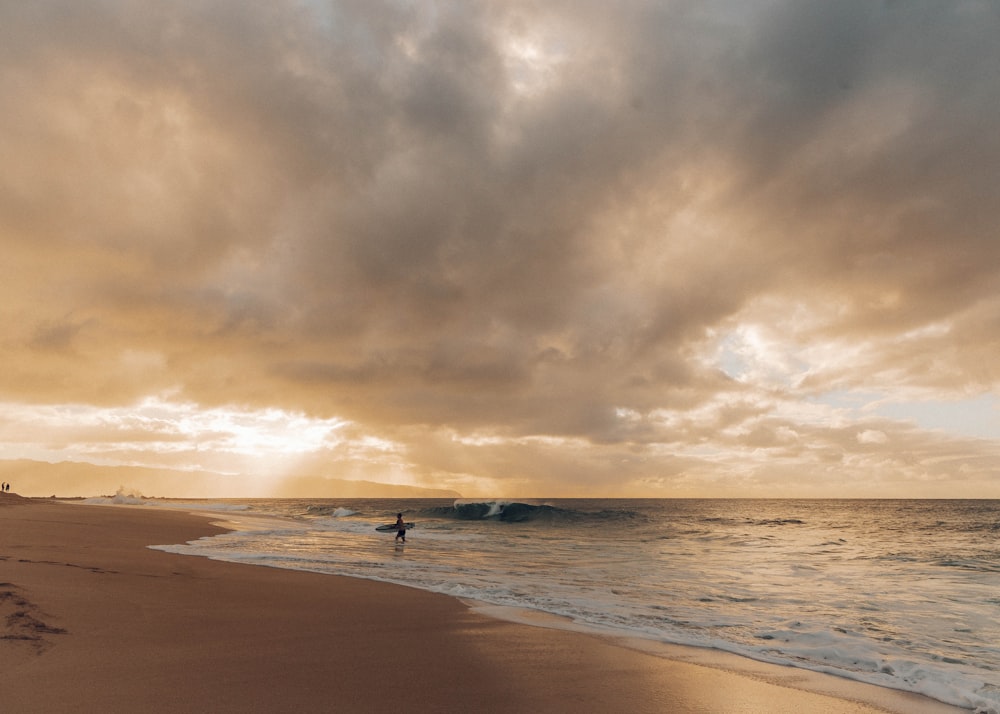 people on beach during sunset