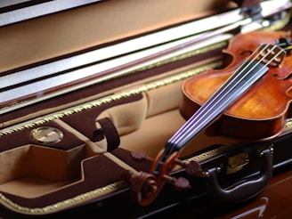 brown violin on white textile