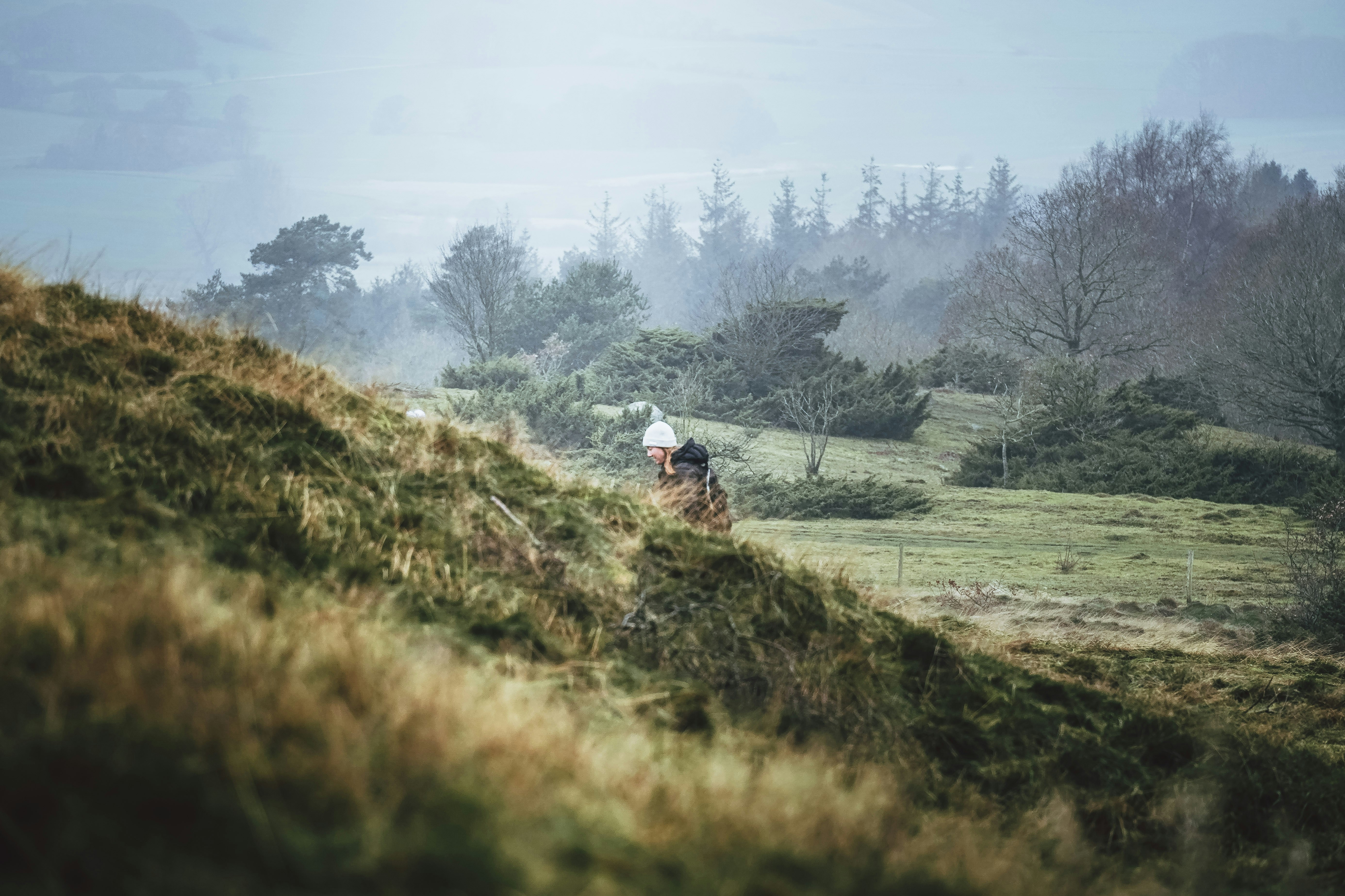 erson hiking uphill through trees symbolizing steady progress during a job search slowdown.