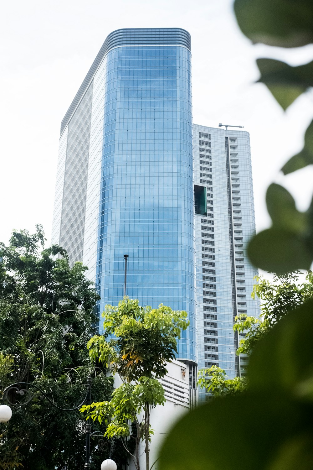 green tree near high rise building during daytime