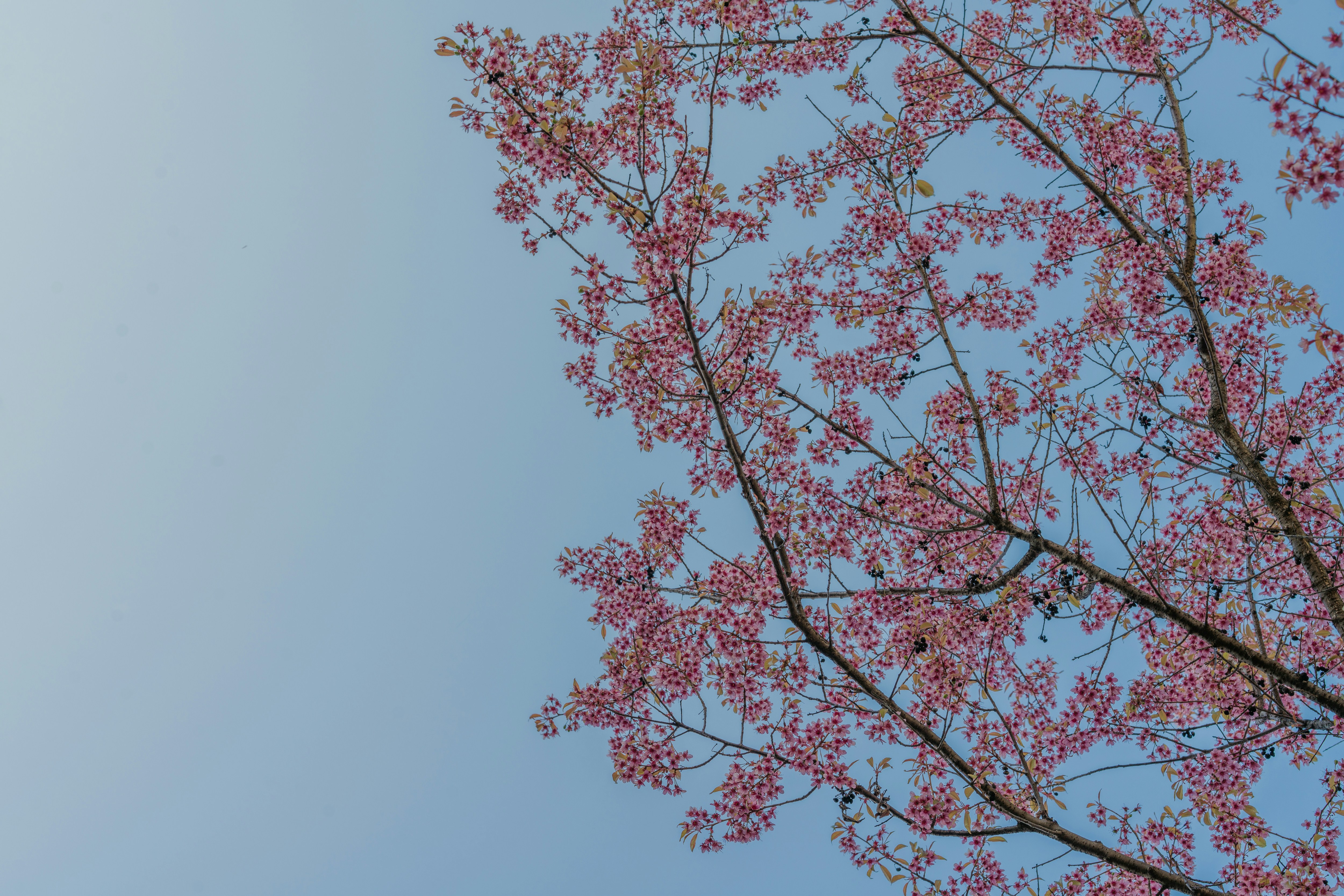 Photo by radsupercell