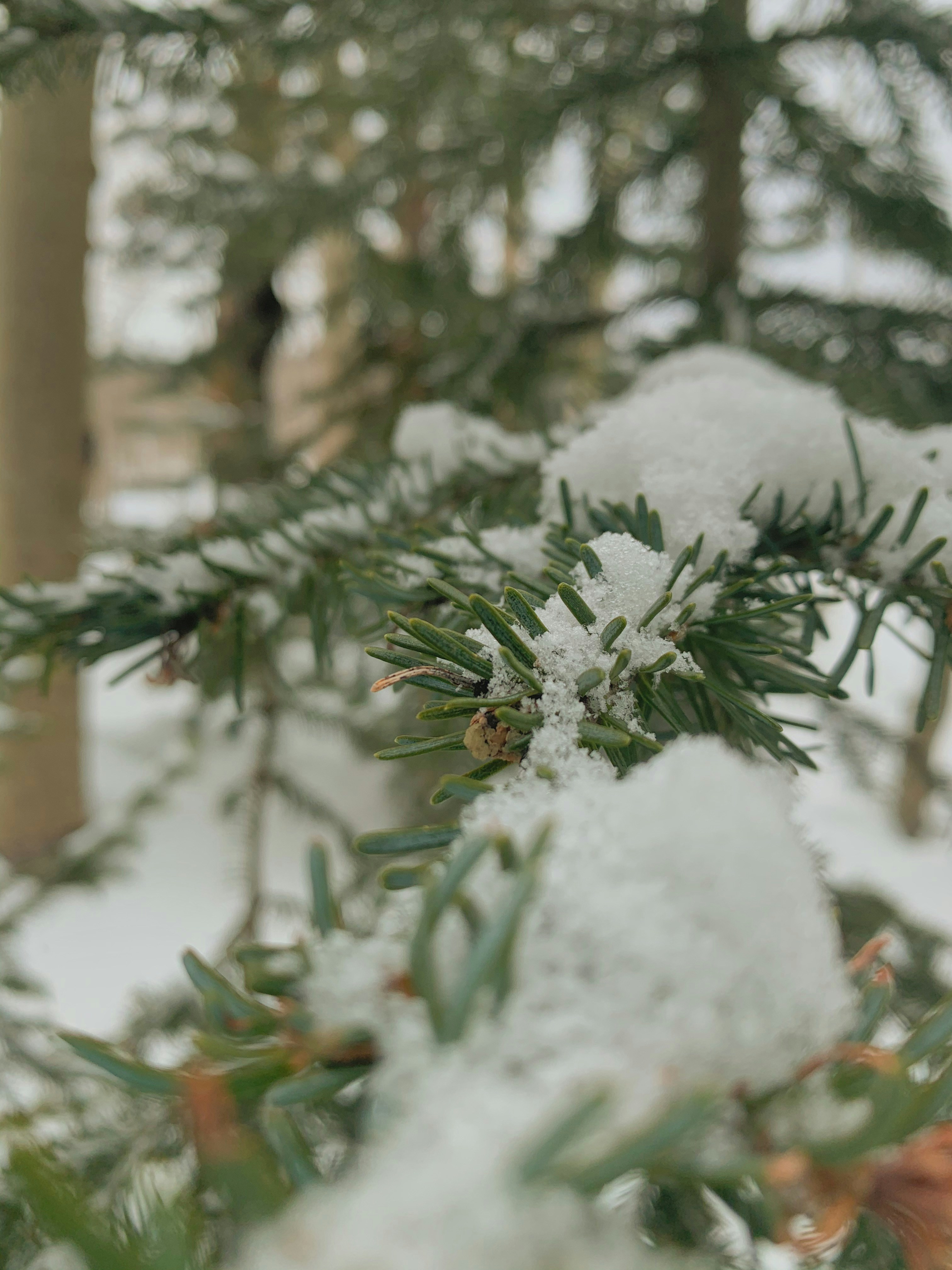 Photo by wayracreative