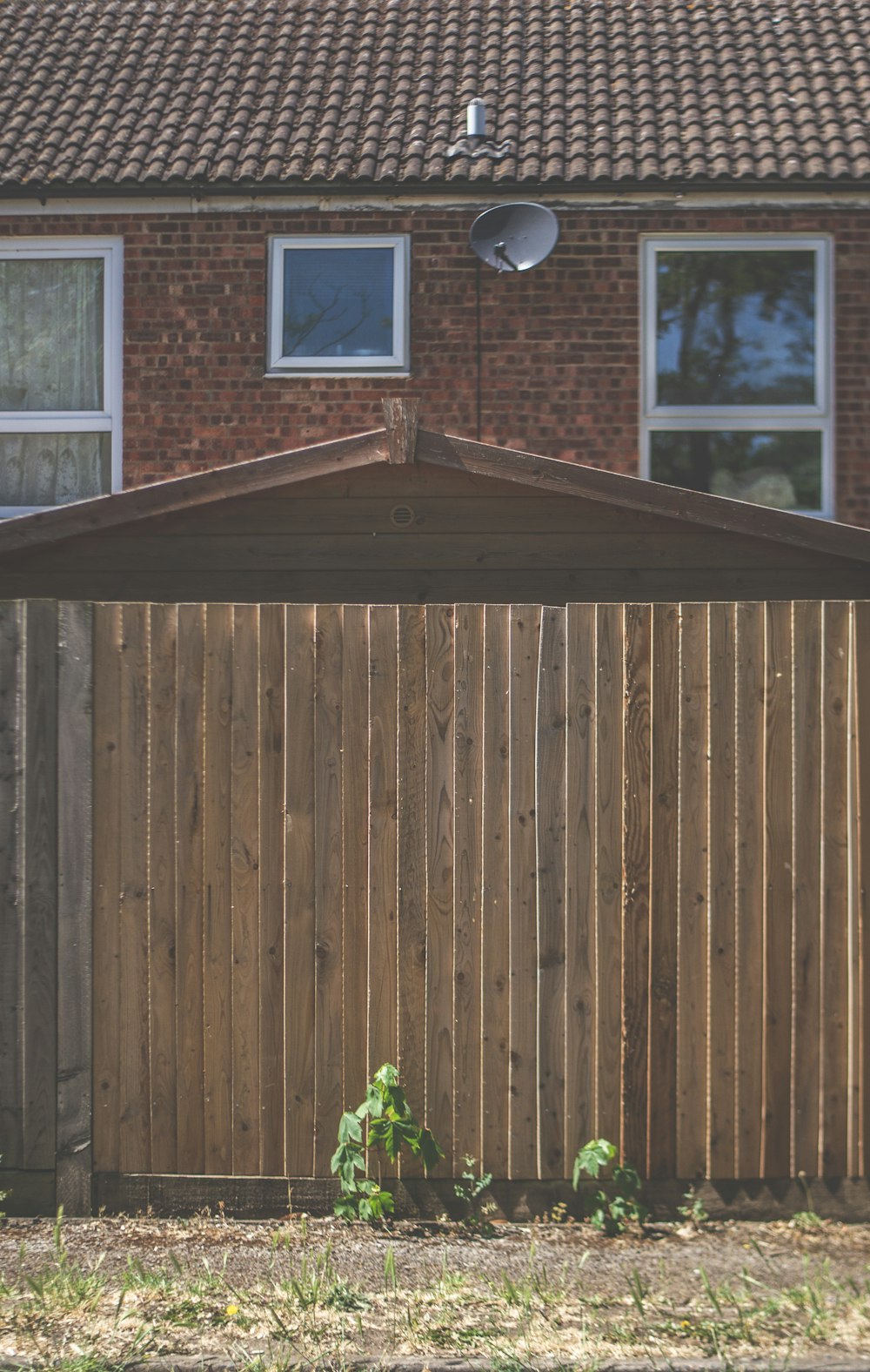 brown wooden fence near green plant