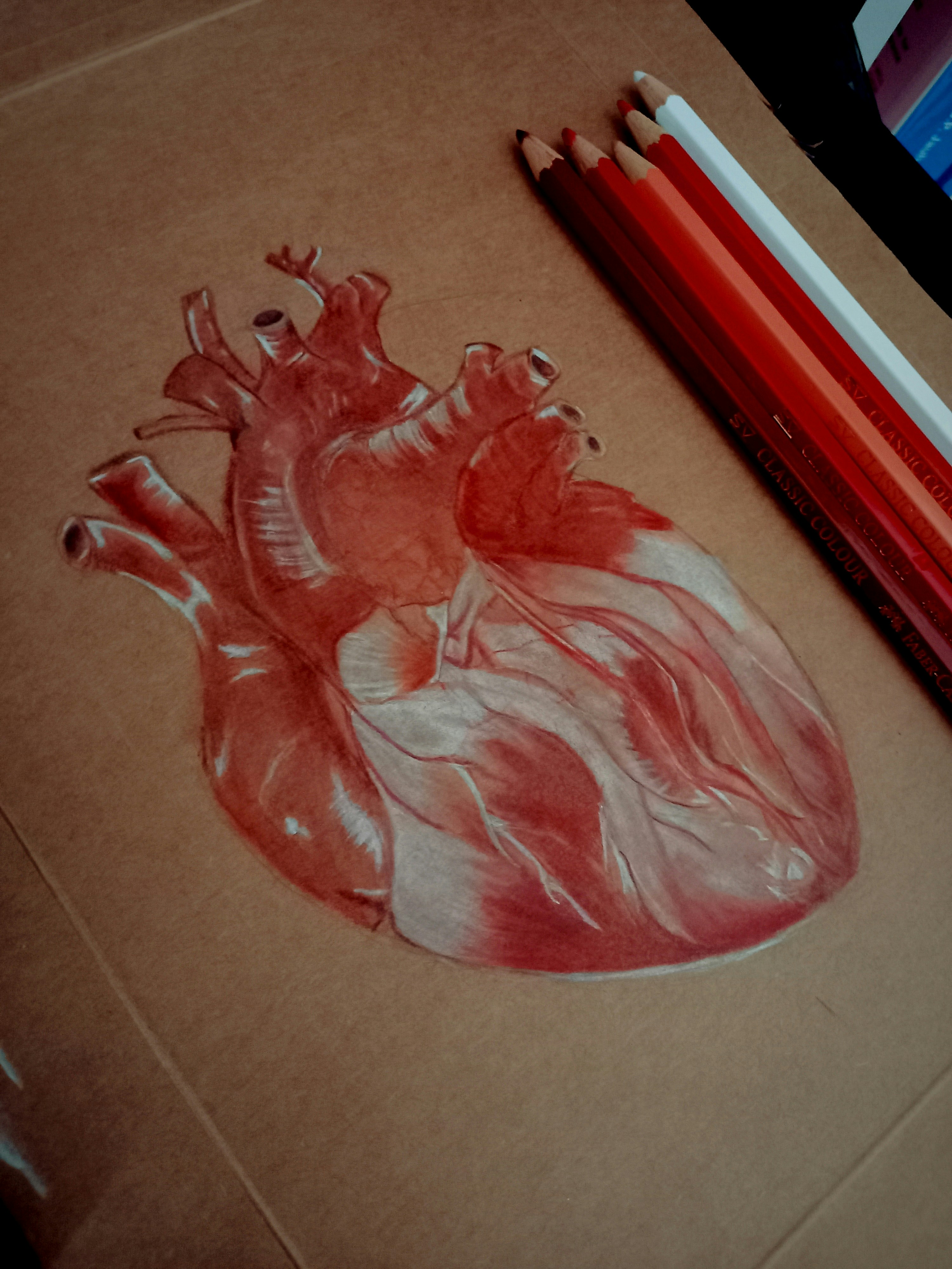 高血壓不可怕！醫師解析高血壓的成因、診斷、治療｜淺顯易懂的行醫筆記｜療寮診所．板橋江子翠｜家醫科診所．健保一般科