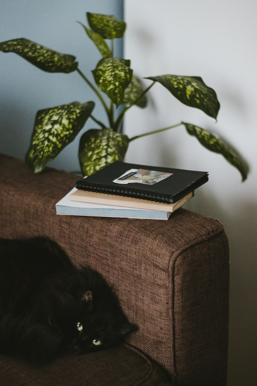 livro preto na mesa de madeira marrom