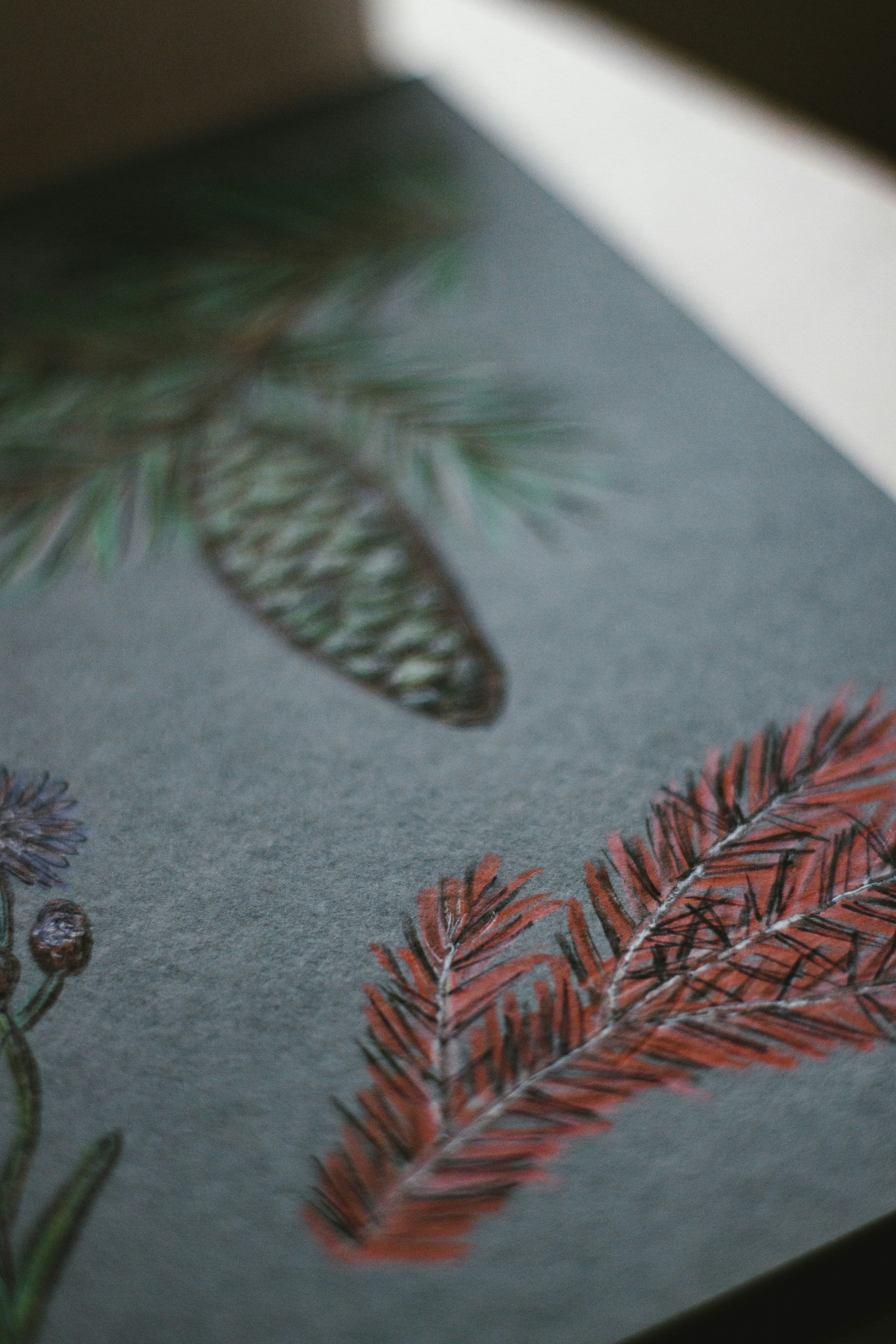 tessuto floreale grigio e rosso