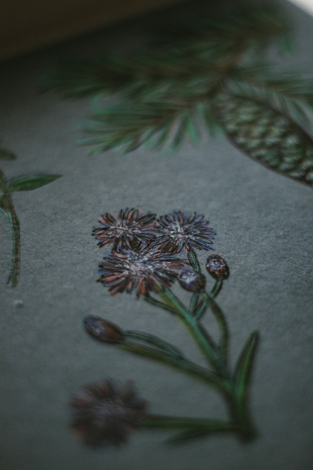 green and brown pine cone