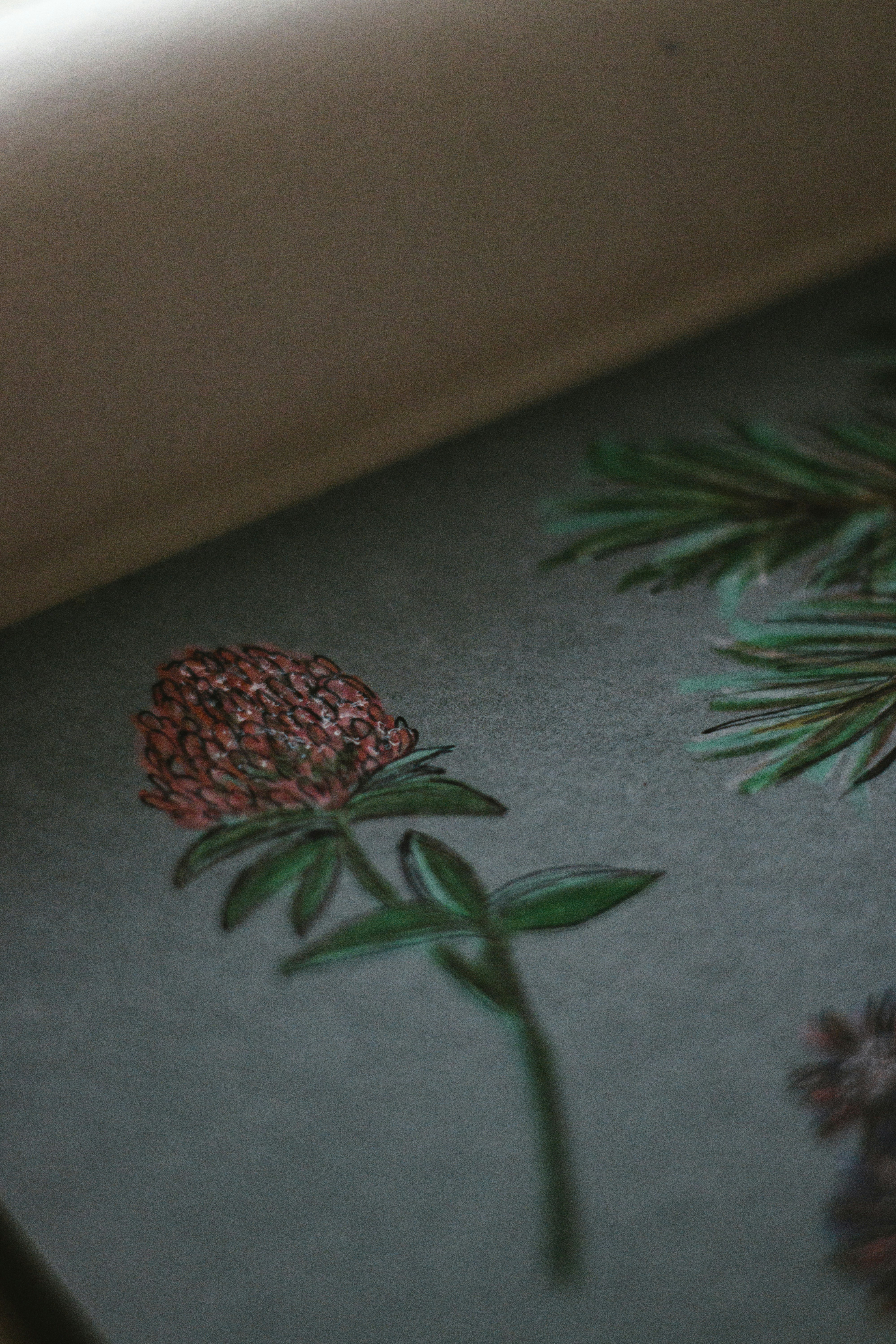 frutta rossa su foglie verdi