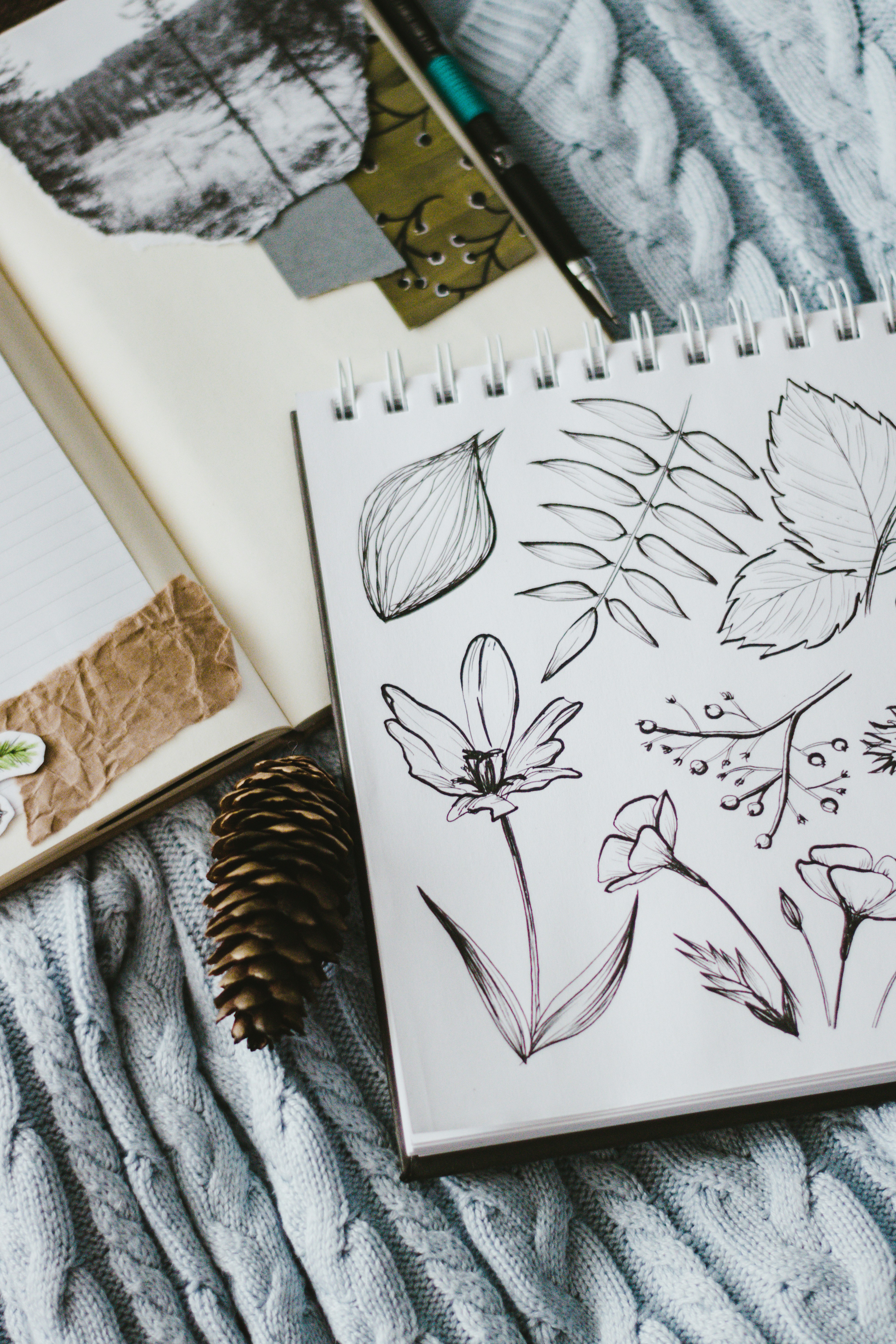 Butterfly Sketch On White Sketchbook Photo Free Art Image On Unsplash