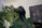A black and beige massage chair is positioned next to lush green leaves of a monstera plant. The backdrop features a patterned white wall, and a monitor displays images of various massage devices.
