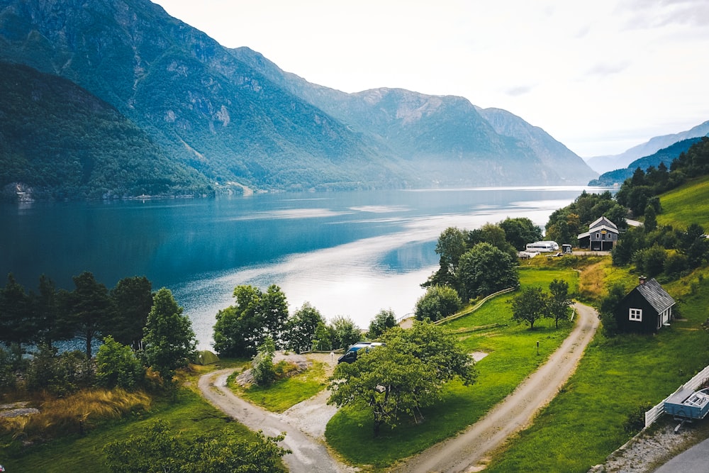 alberi verdi vicino al lago durante il giorno