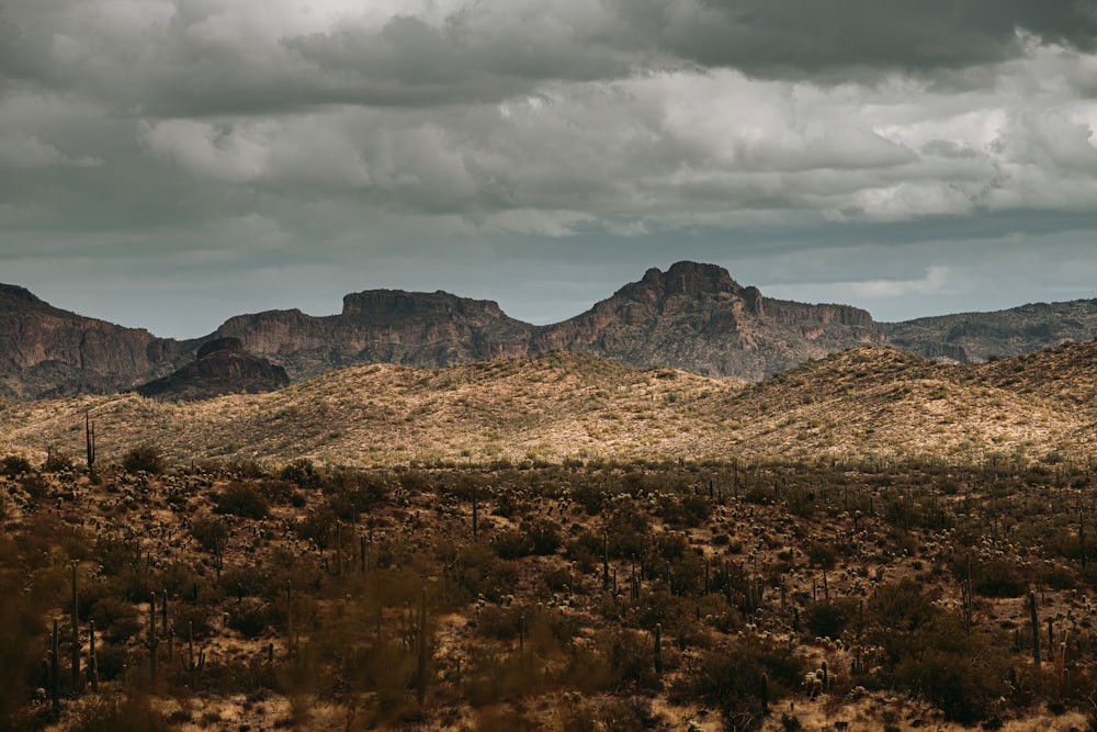 Braunes und grünes Grasfeld in der Nähe von Brown Mountain tagsüber unter weißen Wolken