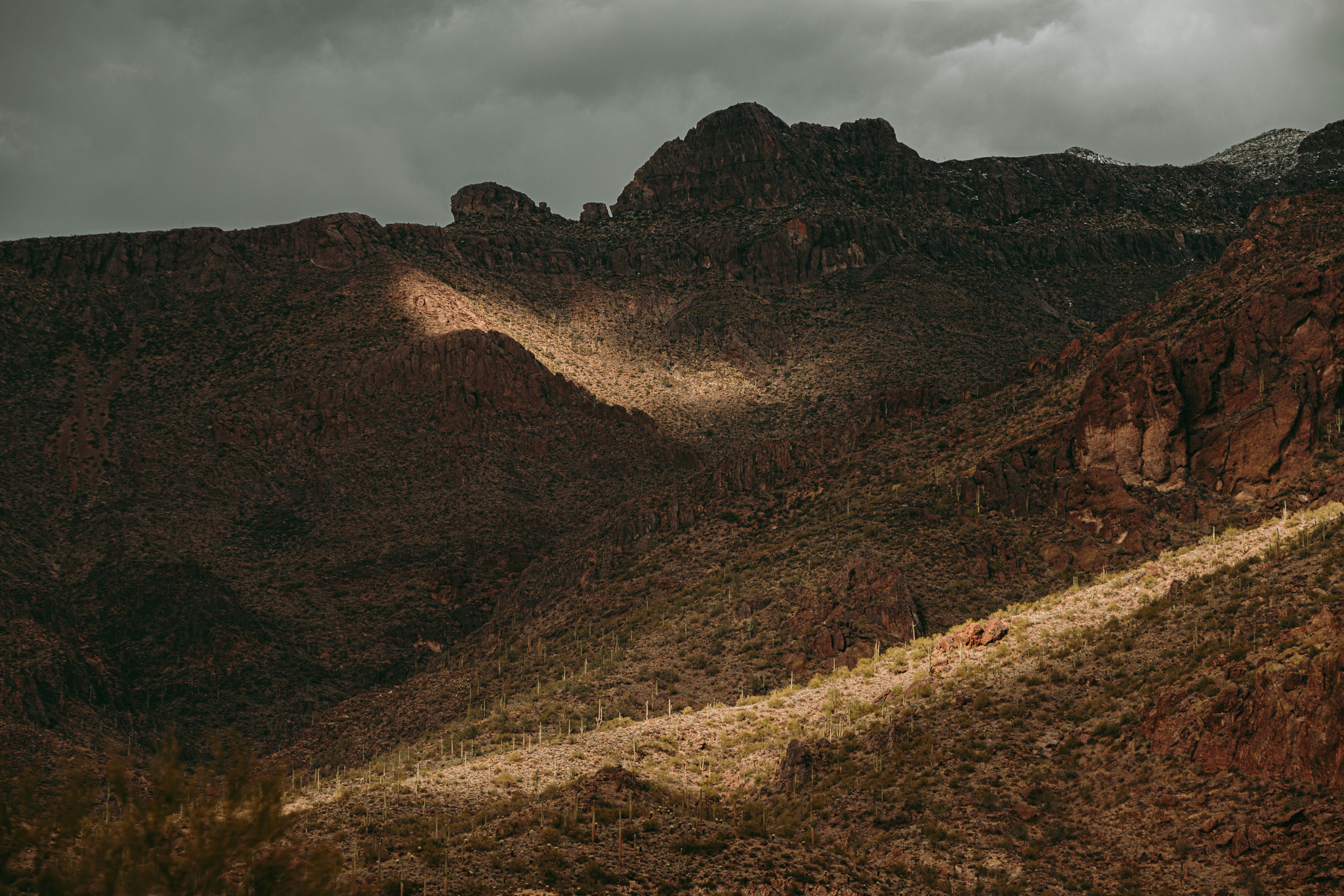 Photo by itstarynnnn