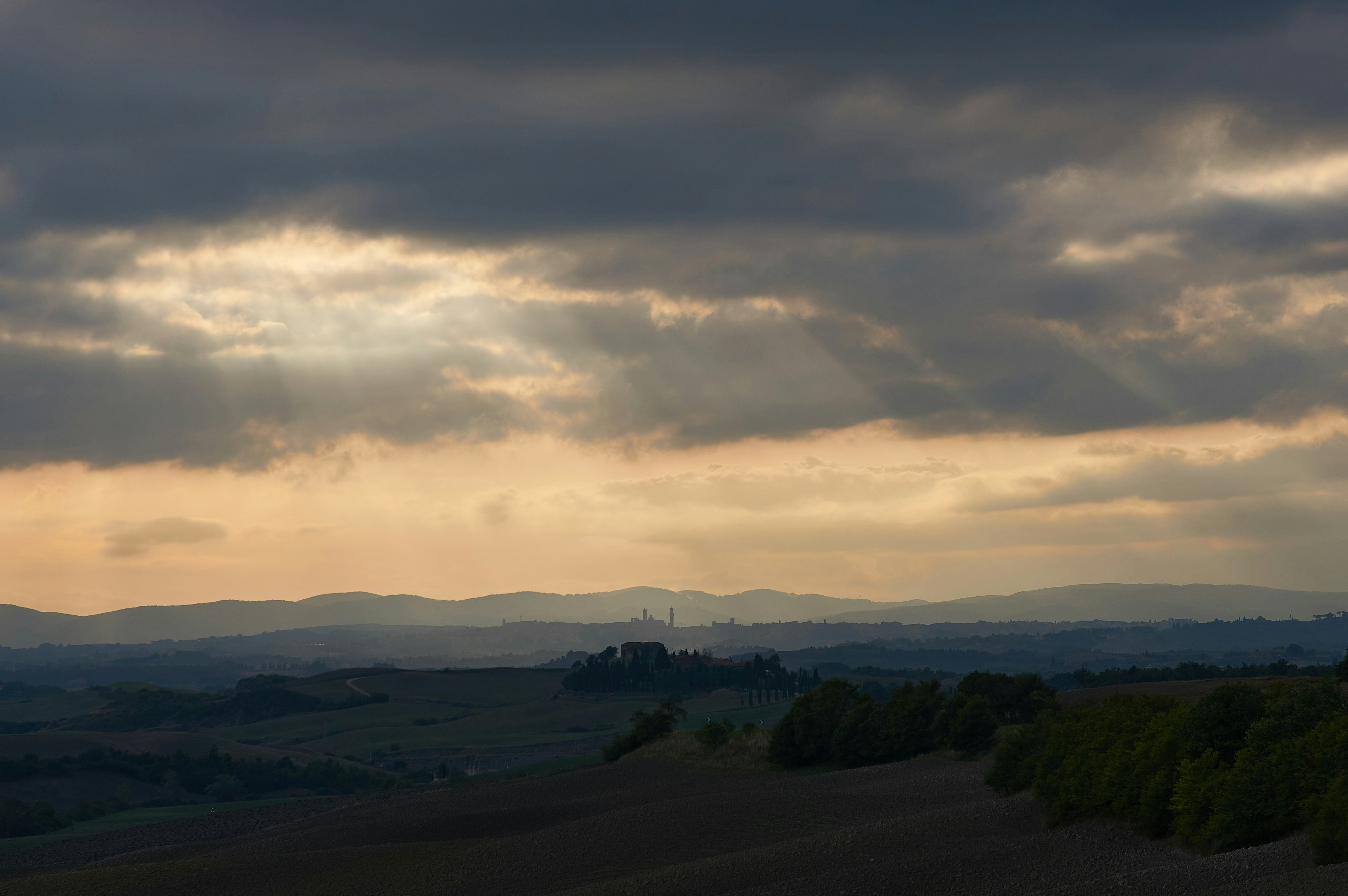 Photo by wolfgang_hasselmann