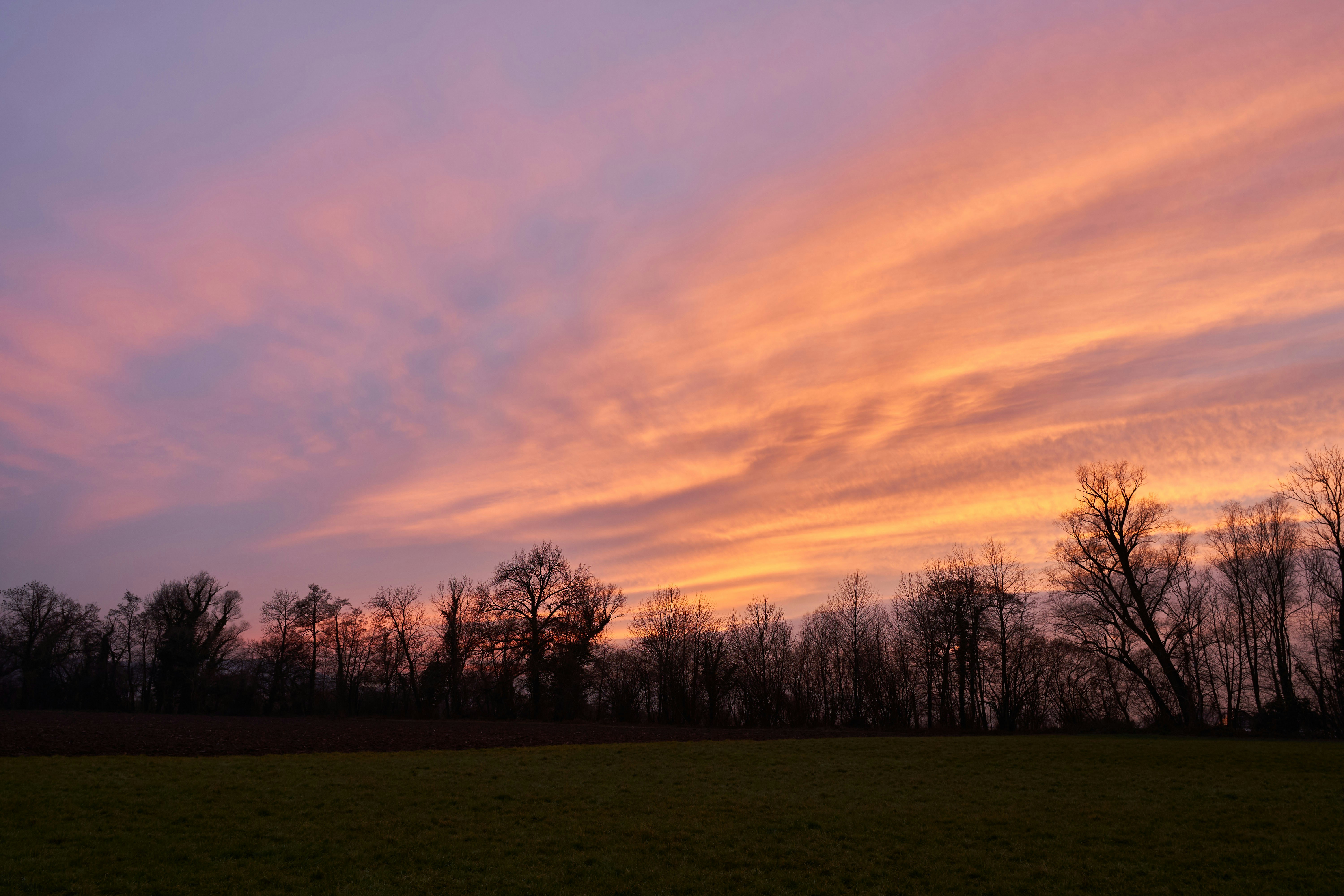 Photo by wolfgang_hasselmann