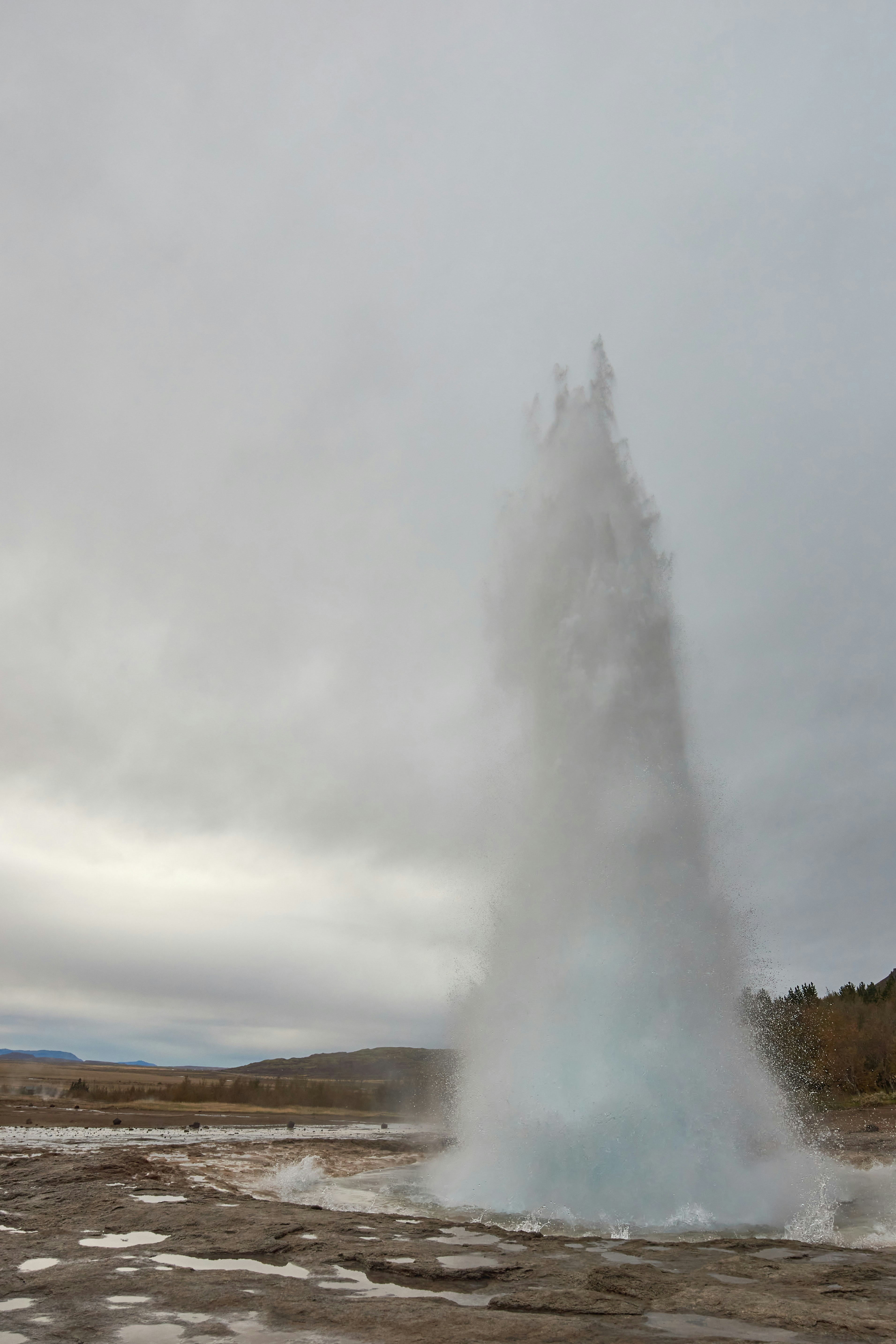 Photo by wolfgang_hasselmann