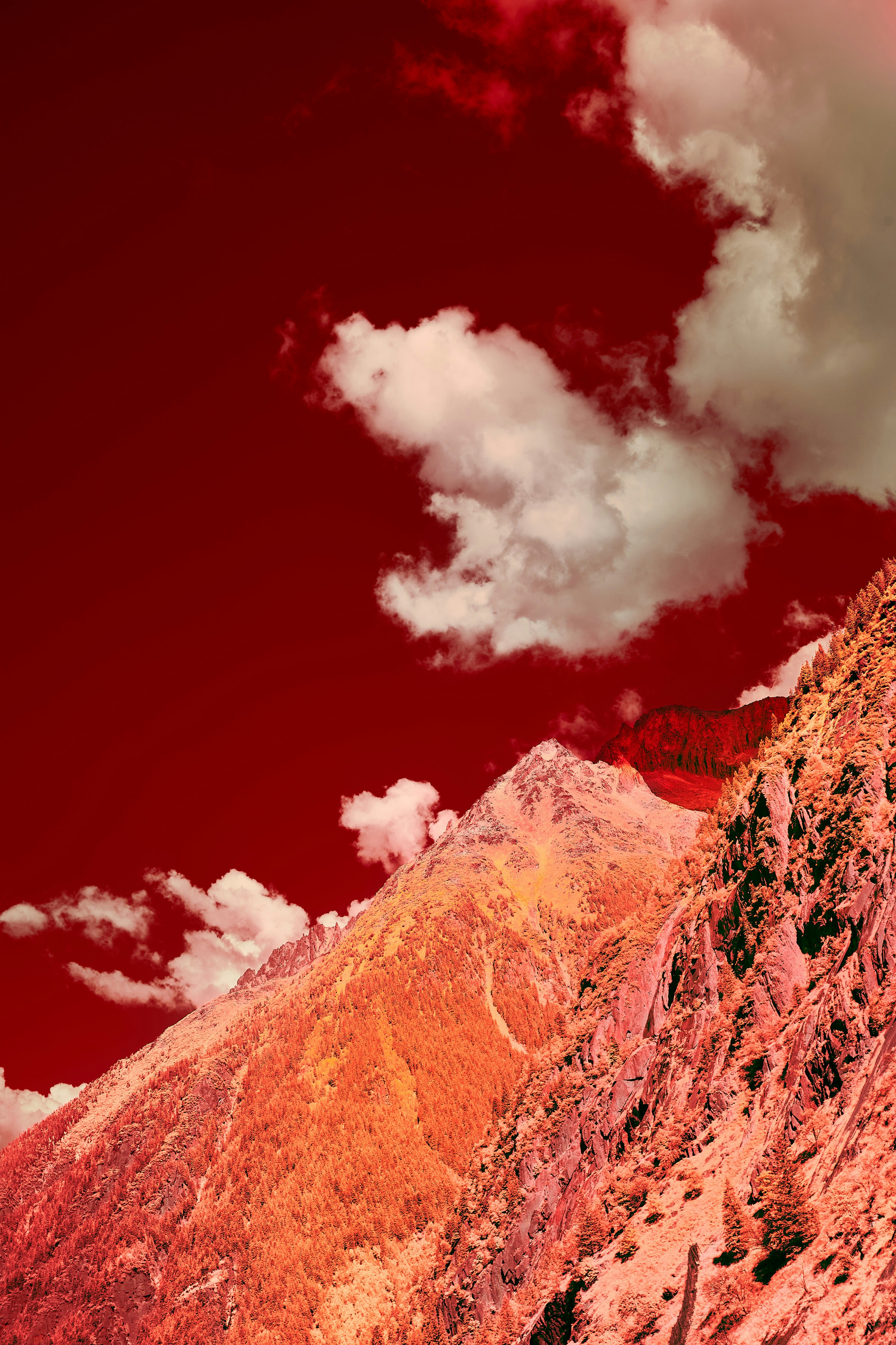 Photo by wolfgang_hasselmann