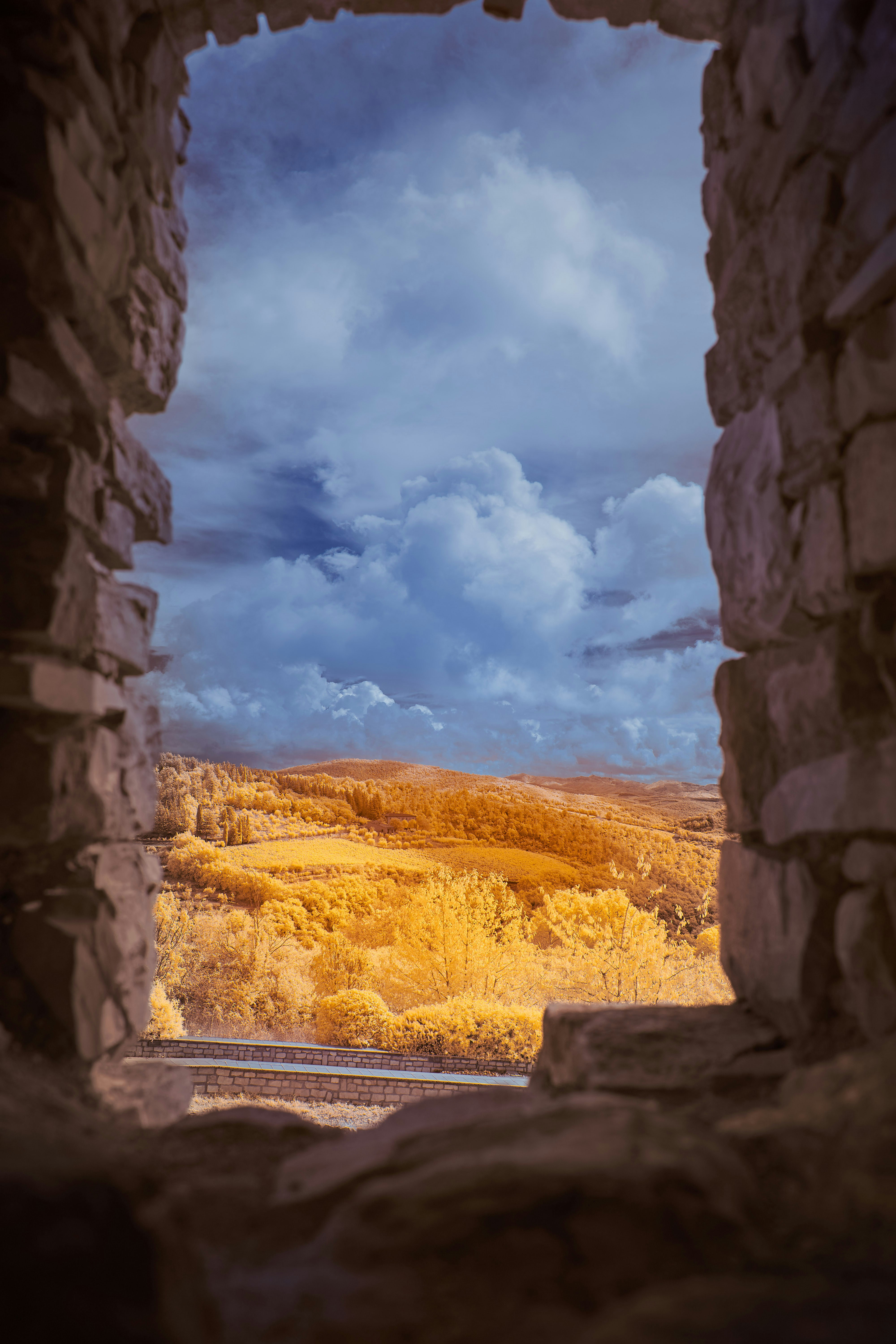 Photo by wolfgang_hasselmann