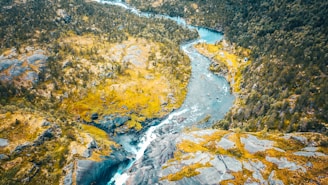 An aerial view of a lush, green landscape with a winding river cutting through the terrain. The river is surrounded by dense forests and rocky outcrops, with a waterfall visible near the center of the image. The landscape is a mix of yellow and green hues, showing a vibrant natural setting.