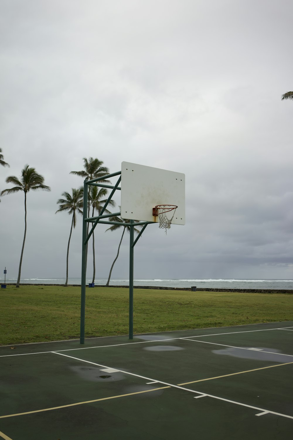 basketball hoop near palm trees under cloudy sky during daytime