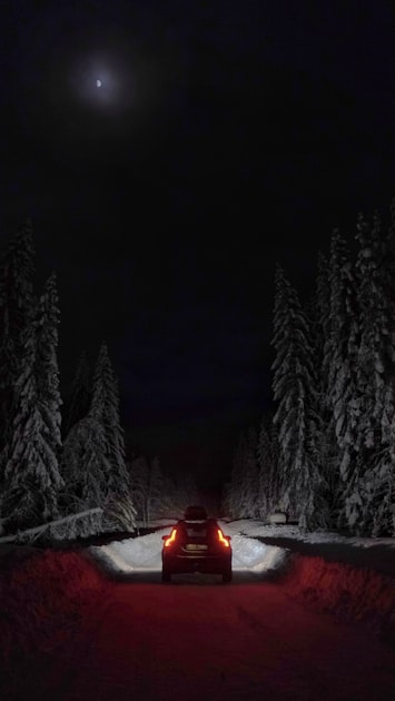 Guida alla guida invernale in Estonia: consigli pratici - Estonia guide
